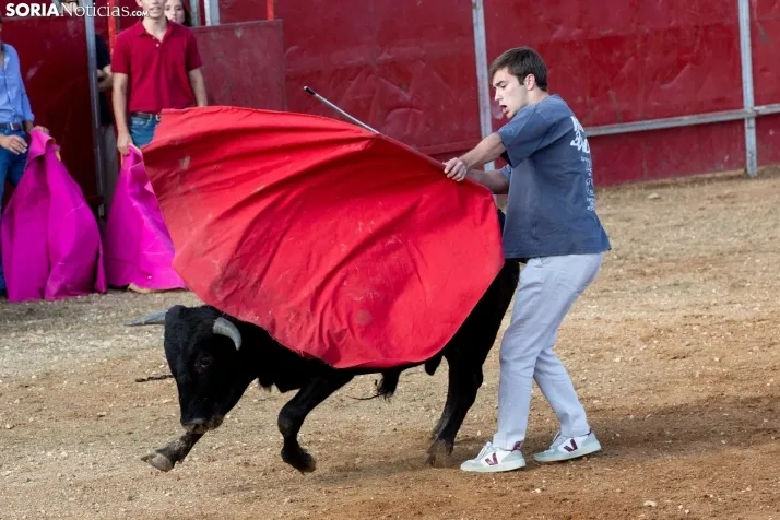 Concentración de peñas Berlanga 2024