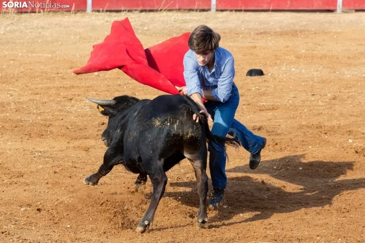 Concentración de peñas Berlanga 2024