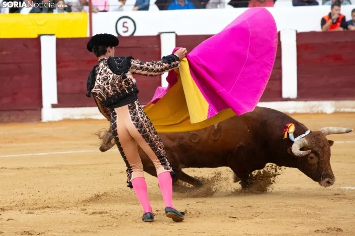 Corrida de toros Almazán 2024