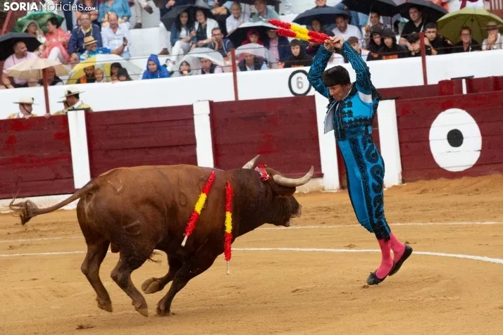 Corrida de toros Almazán 2024