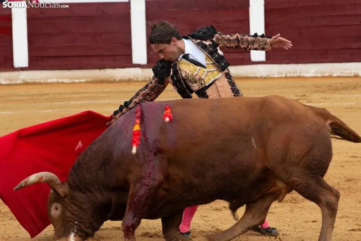 Corrida de toros Almazán 2024