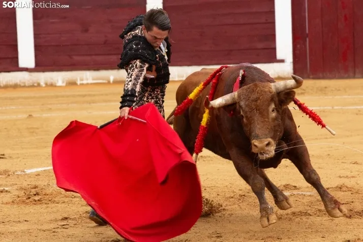 Corrida de toros Almazán 2024