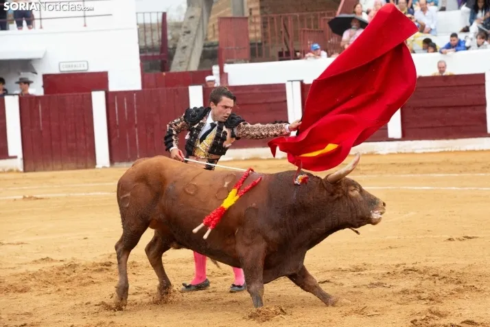 Corrida de toros Almazán 2024