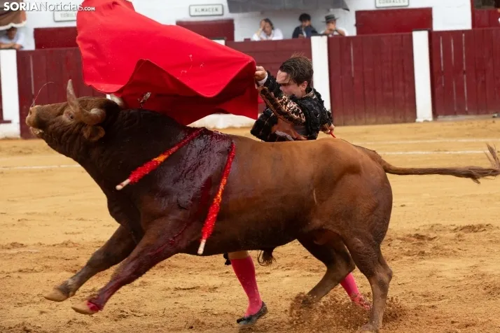 Corrida de toros Almazán 2024