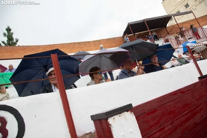 Corrida de toros Almazán 2024