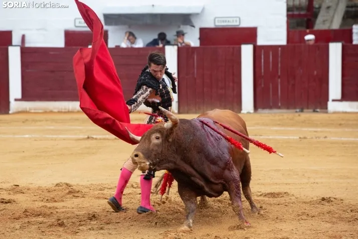 Corrida de toros Almazán 2024
