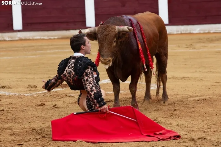 Corrida de toros Almazán 2024