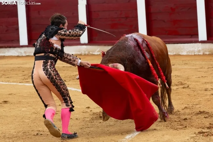 Corrida de toros Almazán 2024