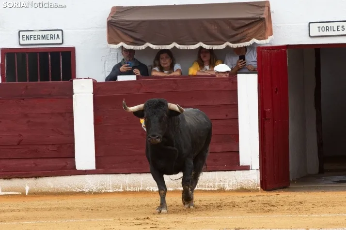 Corrida de toros Almazán 2024