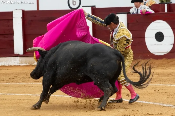 Corrida de toros Almazán 2024