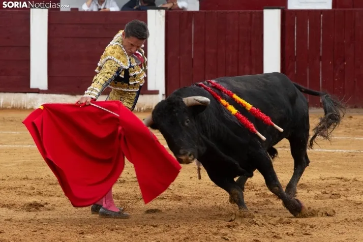 Corrida de toros Almazán 2024