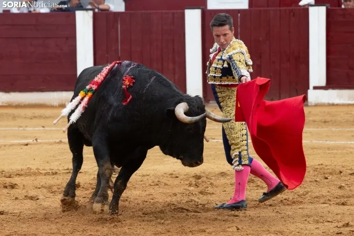 Corrida de toros Almazán 2024