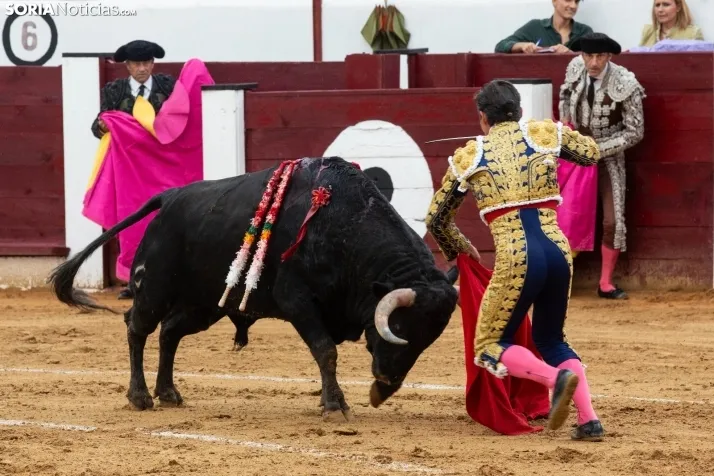 Corrida de toros Almazán 2024