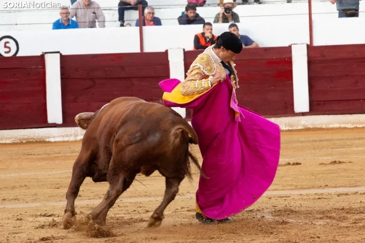 Corrida de toros Almazán 2024