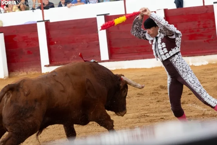 Corrida de toros Almazán 2024