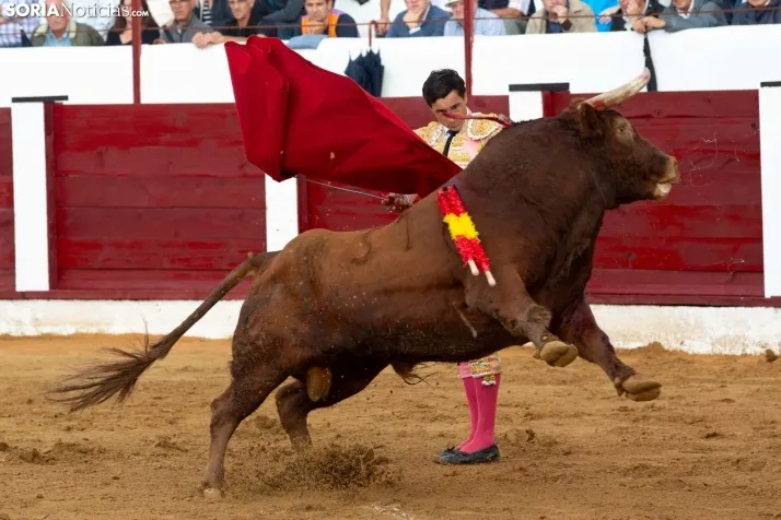 Corrida de toros Almazán 2024