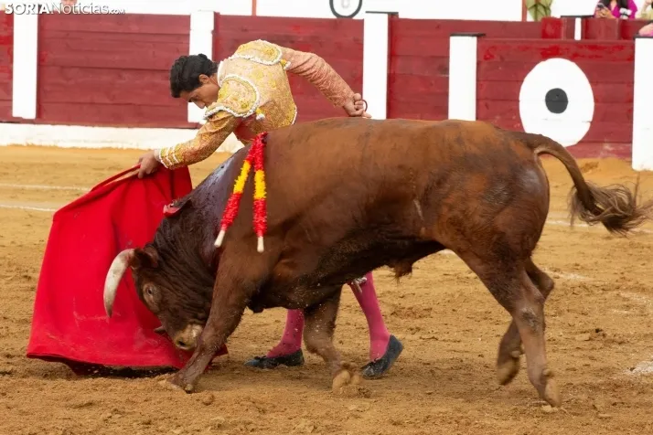 Corrida de toros Almazán 2024