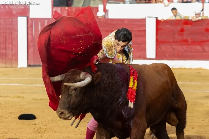 Corrida de toros Almazán 2024