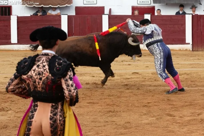 Corrida de toros Almazán 2024