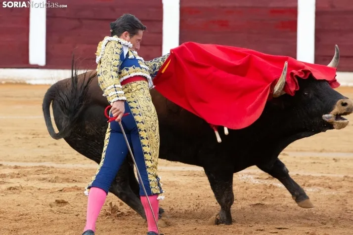 Corrida de toros Almazán 2024