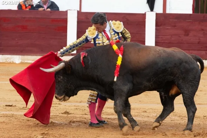 Corrida de toros Almazán 2024