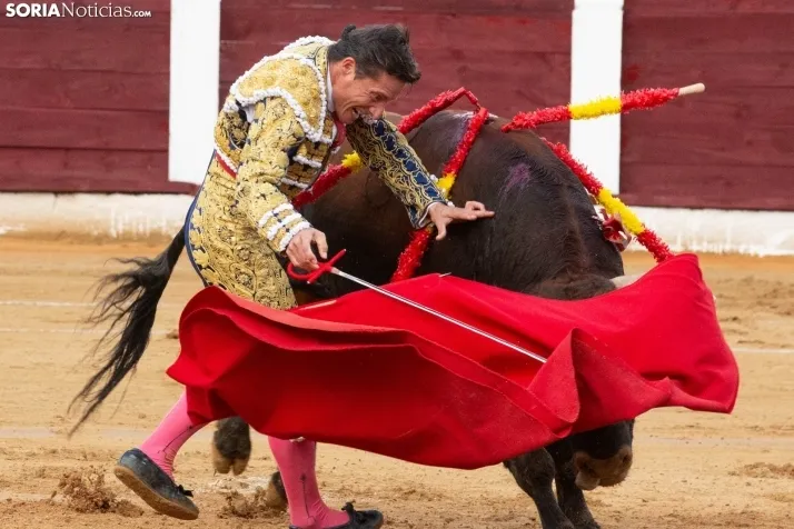 Corrida de toros Almazán 2024