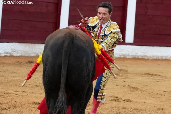 Corrida de toros Almazán 2024