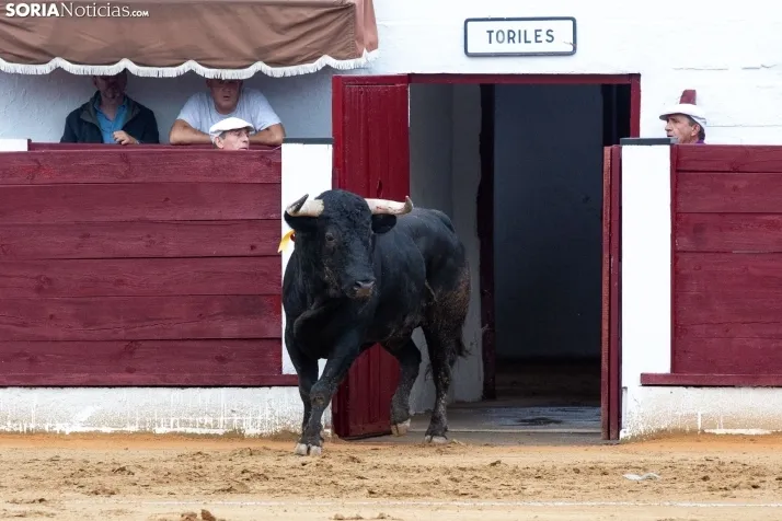 Corrida de toros Almazán 2024