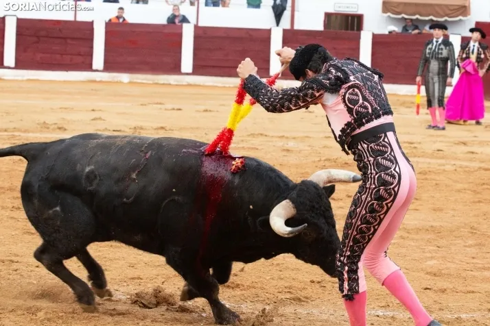 Corrida de toros Almazán 2024