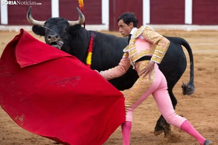 Corrida de toros Almazán 2024