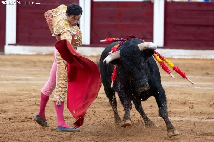 Corrida de toros Almazán 2024