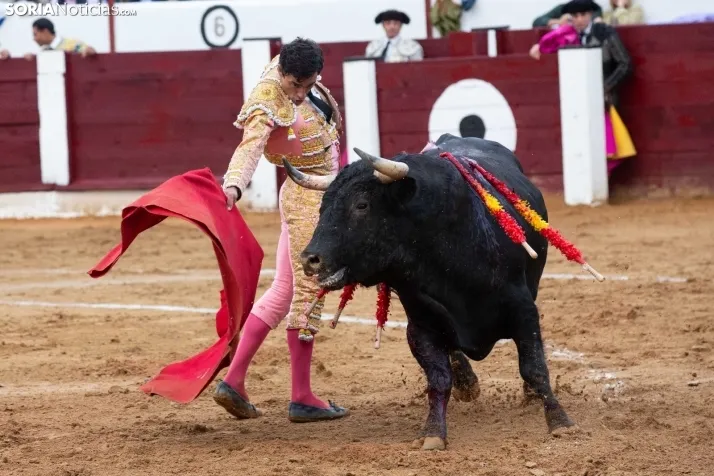 Corrida de toros Almazán 2024