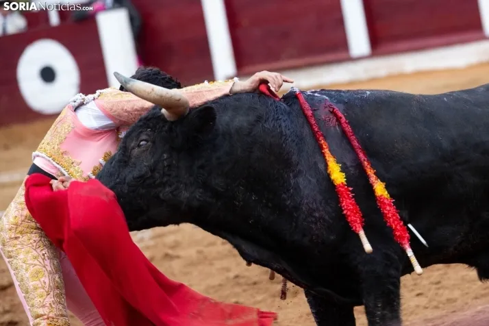 Corrida de toros Almazán 2024