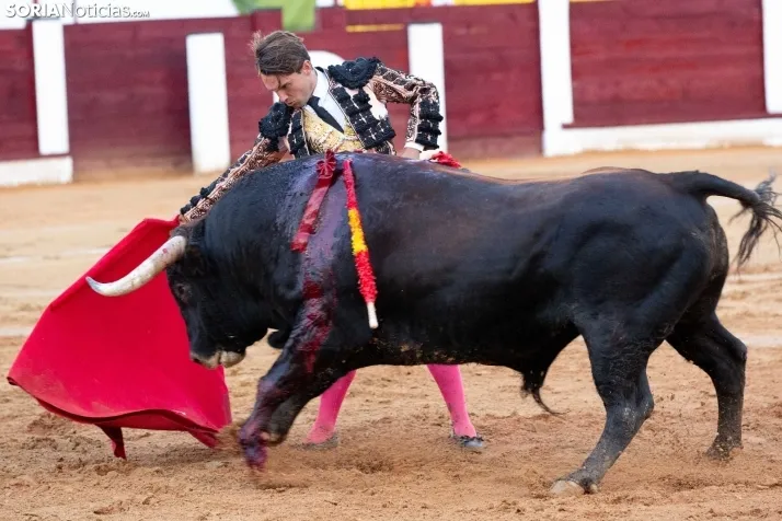 Corrida de toros Almazán 2024