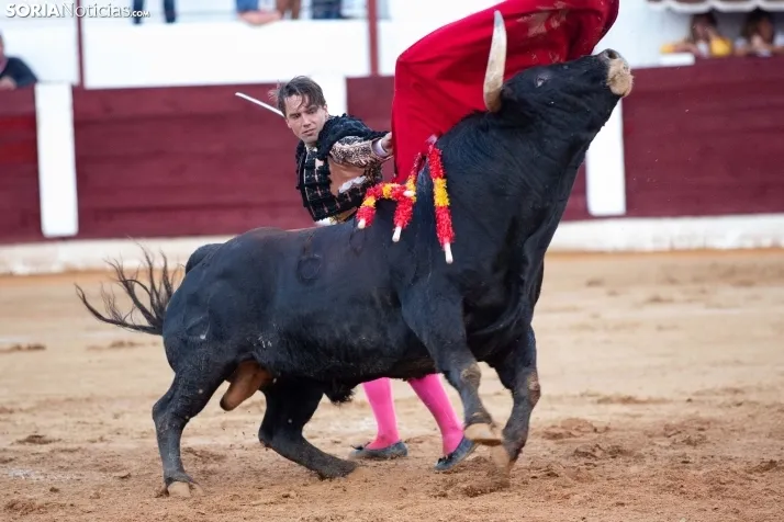 Corrida de toros Almazán 2024