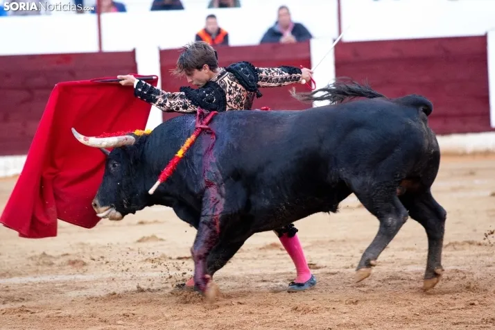 Corrida de toros Almazán 2024