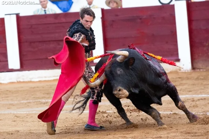 Corrida de toros Almazán 2024