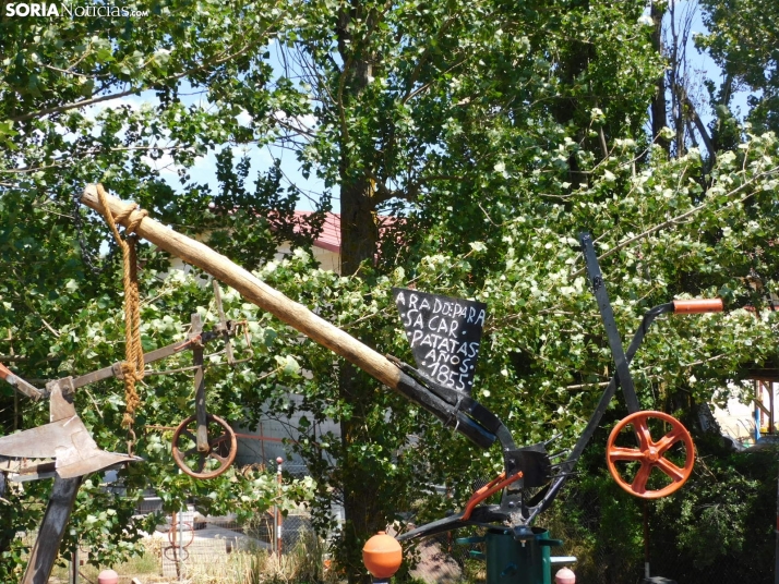 GALER&Iacute;A | Un museo (al aire libre) de las herramientas de cultivo 