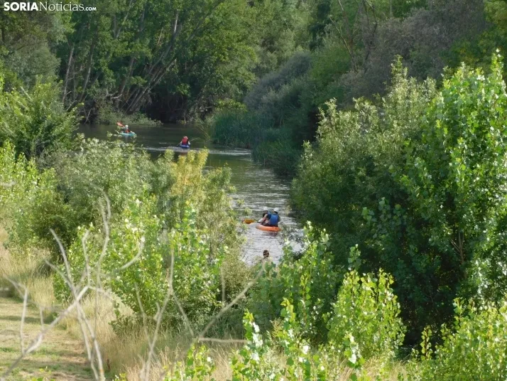 El r&iacute;o de Garray se llena de pirag&uuml;istas en honor a Pablo N&uacute;&ntilde;ez, en fotos