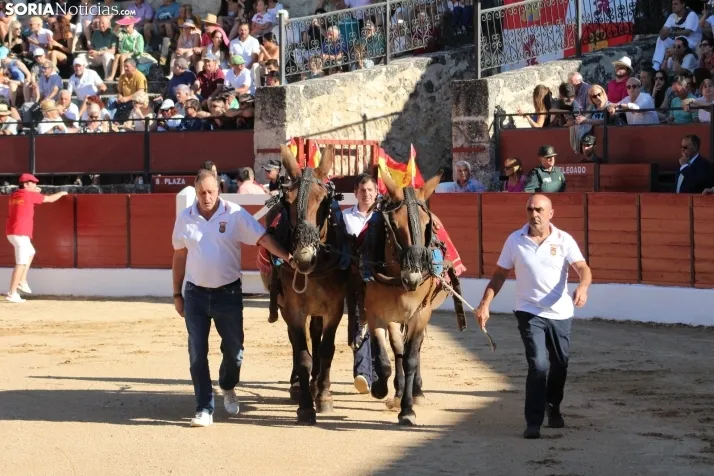 Corrida de Rejones en El Burgo de Osma. /Santos Gómez
