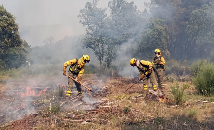 Tres incendios forestales este lunes en la provincia de Soria