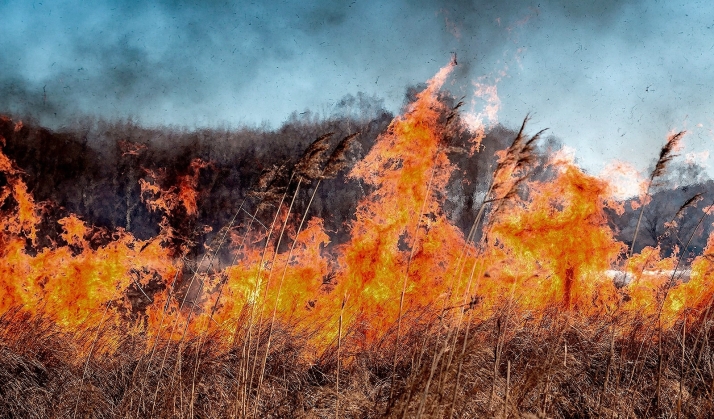 El riesgo extremo por incendios se concentra en cinco municipios de Soria