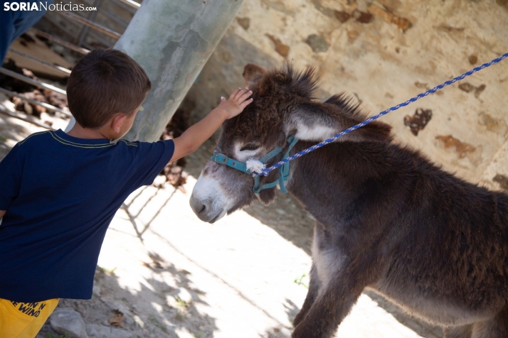 Cambios en el tiempo para este domingo en Soria