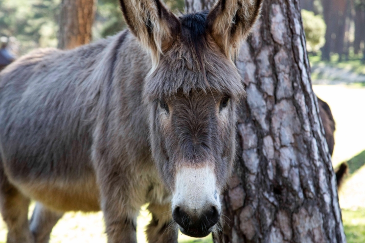 Bajan muy ligeramente las temperaturas y el calor continúa en la provincia