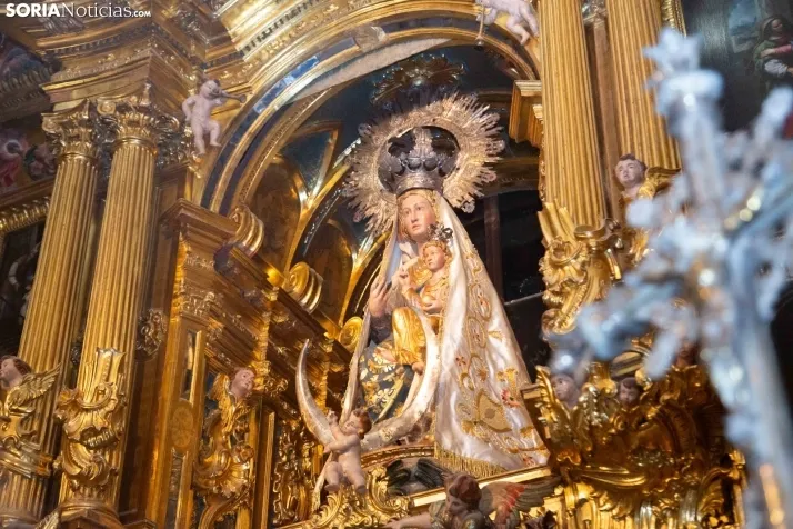 Ofrenda floral Virgen del Espino El Burgo 2024
