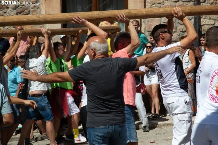 Pingada del Mayo 2024