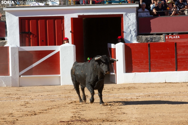 Viernes taurino El Burgo de Osma