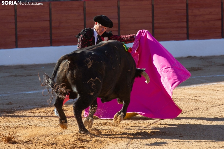 Viernes taurino El Burgo de Osma