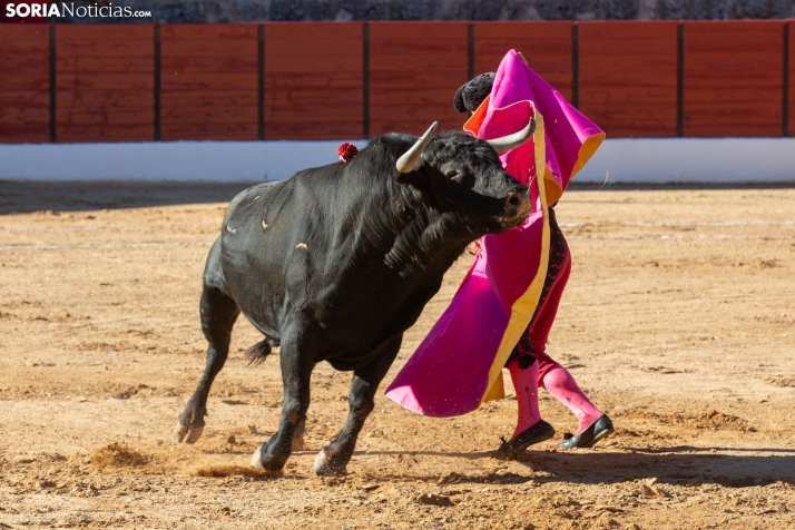 Viernes taurino El Burgo de Osma