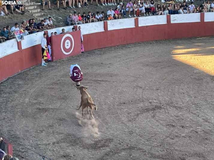 Recortadores Quintana Redonda